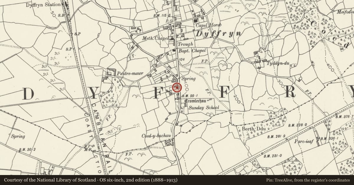 Ordnance Survey six-inch map, 2nd edition (1888–1913) covering the location of Ty Llwyd, Dyffryn Ardudwy, Gwynedd, with a pin at the register's coordinates