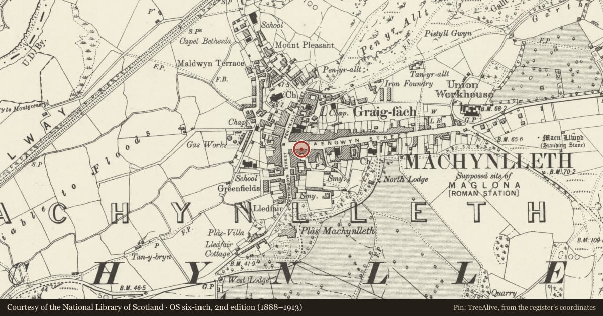 Ordnance Survey six-inch map, 2nd edition (1888–1913) covering the location of Wynnstay Arms Hotel, Machynlleth, Powys, with a pin at the register's coordinates