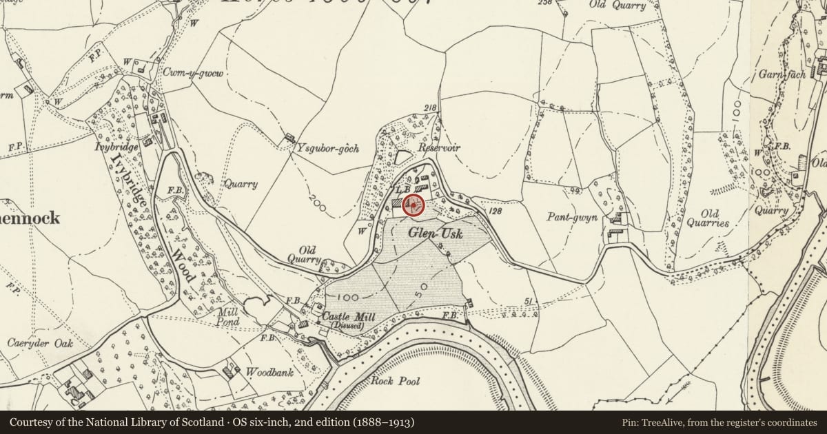 Ordnance Survey six-inch map, 2nd edition (1888–1913) covering the location of Garden walls, steps and terracing at Glen Usk, Llangybi, Monmouthshire, with a pin at the register's coordinates