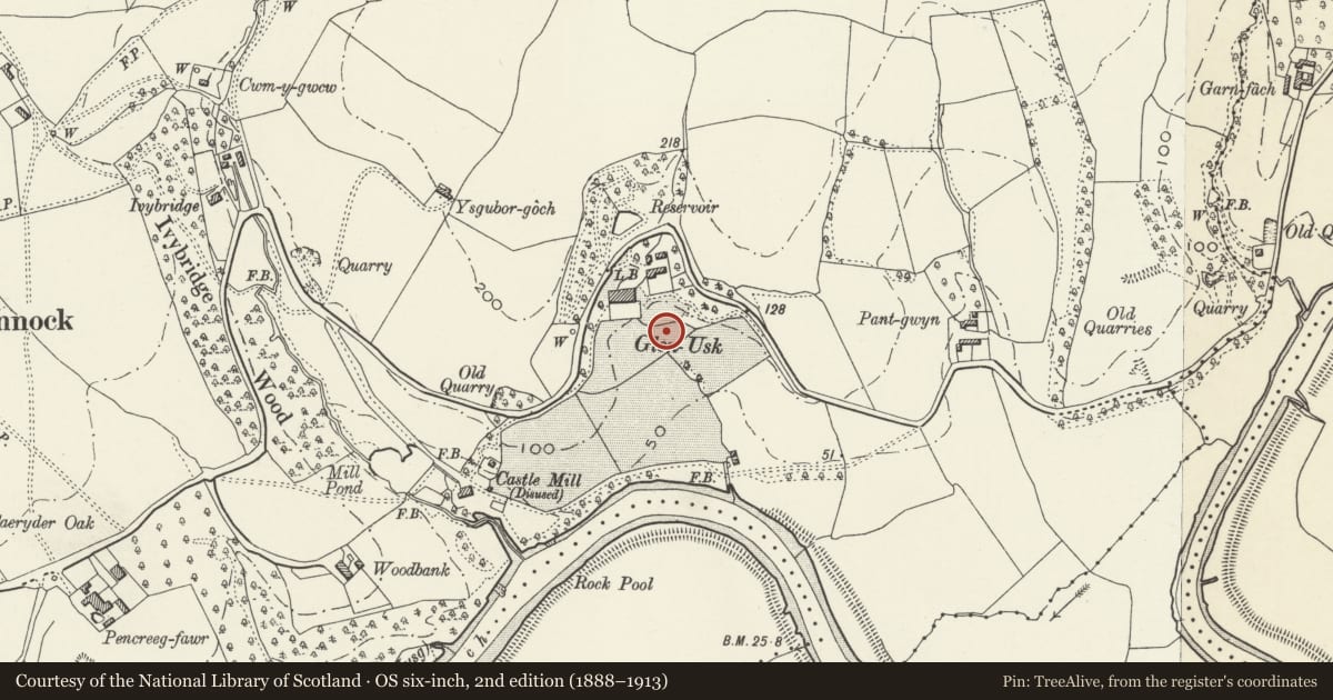 Ordnance Survey six-inch map, 2nd edition (1888–1913) covering the location of Pergola surrounding tennis court at Glen Usk, Llangybi, Monmouthshire, with a pin at the register's coordinates
