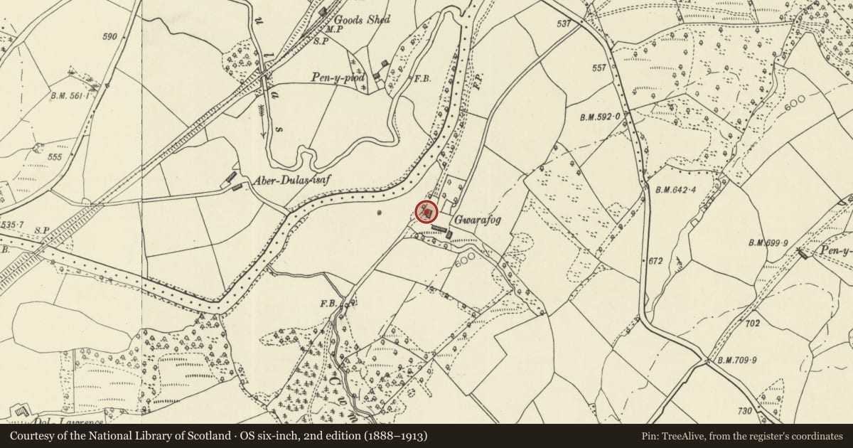 Ordnance Survey six-inch map, 2nd edition (1888–1913) covering the location of Gwarafog House, Llangamarch, Powys, with a pin at the register's coordinates