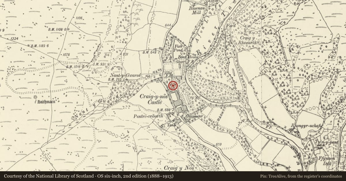 Ordnance Survey six-inch map, 2nd edition (1888–1913) covering the location of Fountain in Craig-y-nos courtyard, Tawe-Uchaf, Powys, with a pin at the register's coordinates