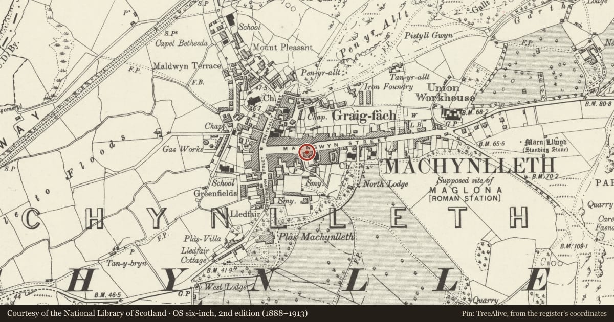 Ordnance Survey six-inch map, 2nd edition (1888–1913) covering the location of Allan's, Machynlleth, Powys, with a pin at the register's coordinates