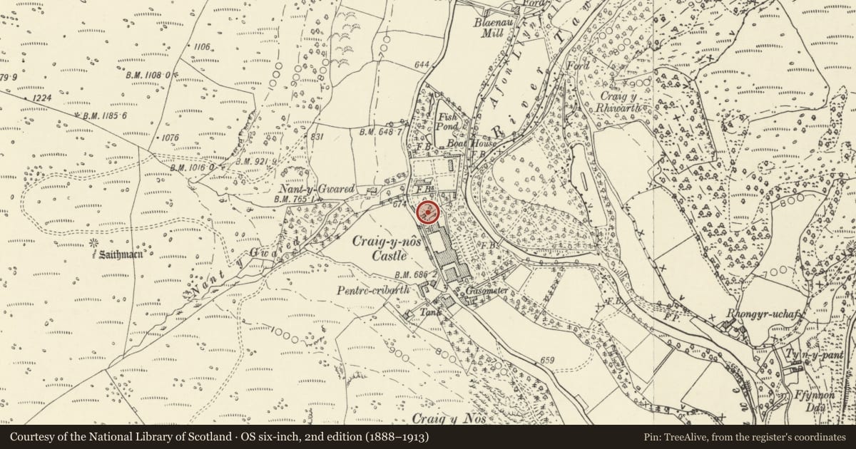 Ordnance Survey six-inch map, 2nd edition (1888–1913) covering the location of Game Larder at Craig-y-nos and attached length of kitchen garden wall, Tawe-Uchaf, Powys, with a pin at the register's coordinates