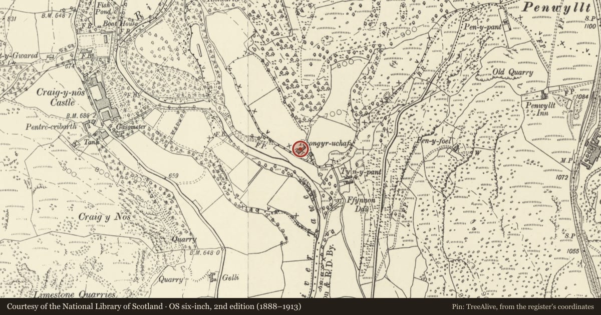 Ordnance Survey six-inch map, 2nd edition (1888–1913) covering the location of Ongur Uchaf (aka Rhongyr Uchaf) including attached barn range and garden walls with gates, Tawe-Uchaf, Powys, with a pin at the register's coordinates
