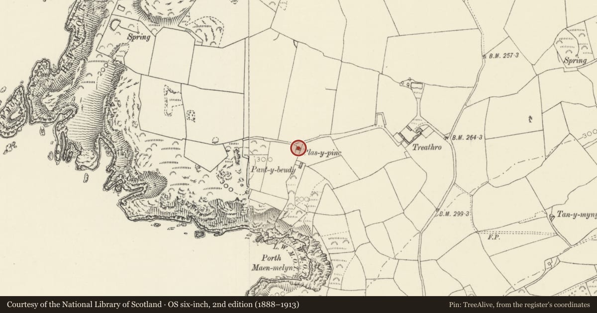Ordnance Survey six-inch map, 2nd edition (1888–1913) covering the location of Plas y Pinc, Pencaer, Pembrokeshire, with a pin at the register's coordinates