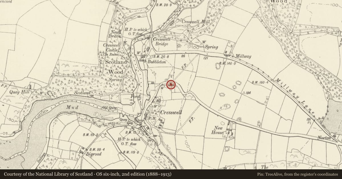 Ordnance Survey six-inch map, 2nd edition (1888–1913) covering the location of 1 & 2 Back Cottages, Jeffreyston, Pembrokeshire, with a pin at the register's coordinates
