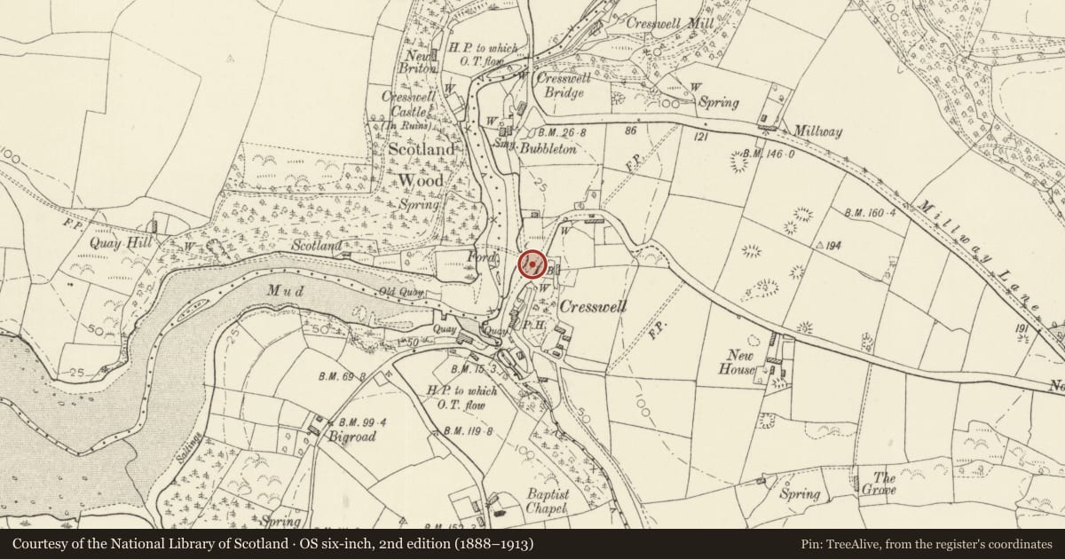 Ordnance Survey six-inch map, 2nd edition (1888–1913) covering the location of Telephone Call-box, Jeffreyston, Pembrokeshire, with a pin at the register's coordinates