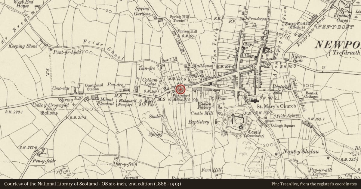 Ordnance Survey six-inch map, 2nd edition (1888–1913) covering the location of Abertawe House, including back cottage, Newport, Pembrokeshire, with a pin at the register's coordinates