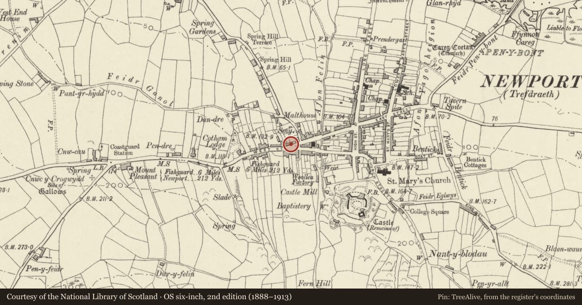 Ordnance Survey six-inch map, 2nd edition (1888–1913) covering the location of Gwaunfa, Newport, Pembrokeshire, with a pin at the register's coordinates