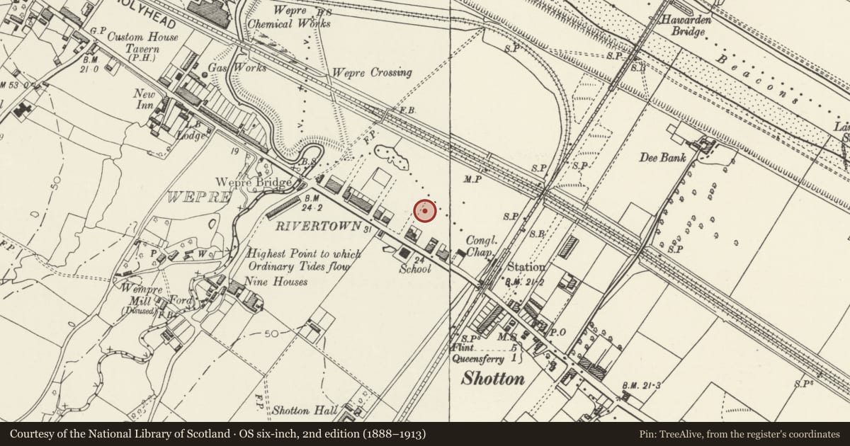 Ordnance Survey six-inch map, 2nd edition (1888–1913) covering the location of Former Police Station, including forecourt wall, gates & railings, Shotton, Flintshire, with a pin at the register's coordinates