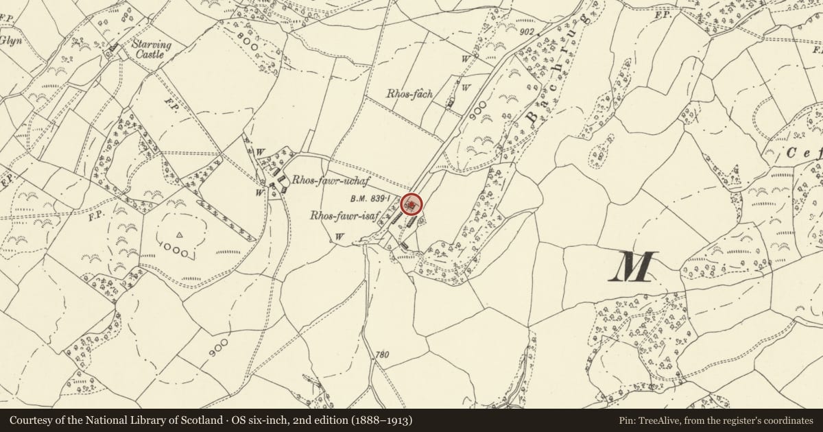 Ordnance Survey six-inch map, 2nd edition (1888–1913) covering the location of Primary House at Rhos Fawr Isaf, Meifod, Powys, with a pin at the register's coordinates