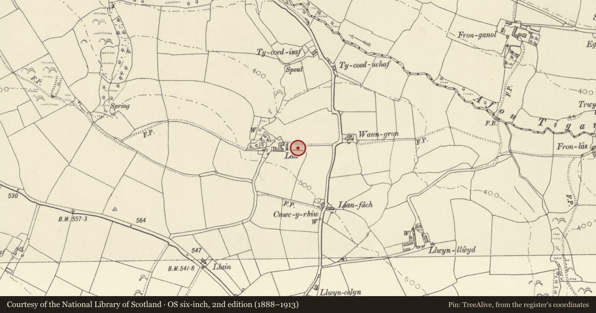 Ordnance Survey six-inch map, 2nd edition (1888–1913) covering the location of Lan Farmhouse, Llanboidy, Carmarthenshire, with a pin at the register's coordinates