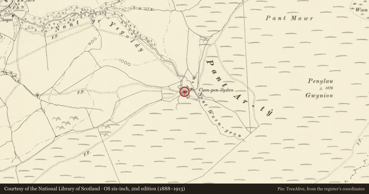 Ordnance Survey six-inch map, 2nd edition (1888–1913) covering the location of Cwm Pen Llydan, Llanbrynmair, Powys, with a pin at the register's coordinates