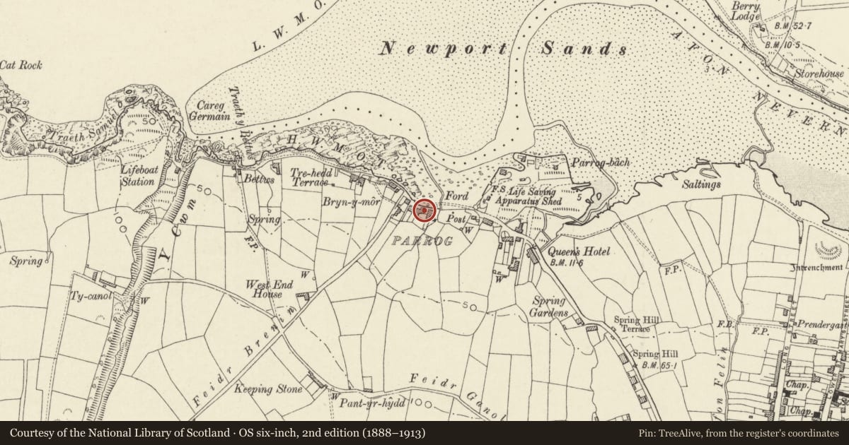 Ordnance Survey six-inch map, 2nd edition (1888–1913) covering the location of Ondara House, Newport, Pembrokeshire, with a pin at the register's coordinates