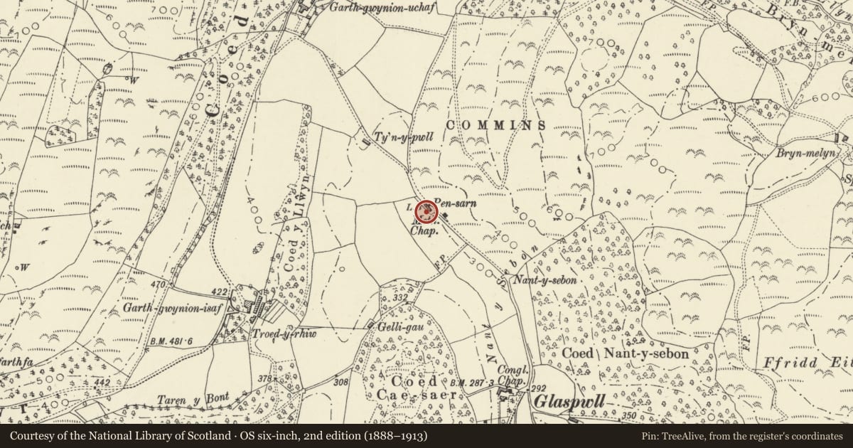 Ordnance Survey six-inch map, 2nd edition (1888–1913) covering the location of 1 Pensarn, Cadfarch, Powys, with a pin at the register's coordinates