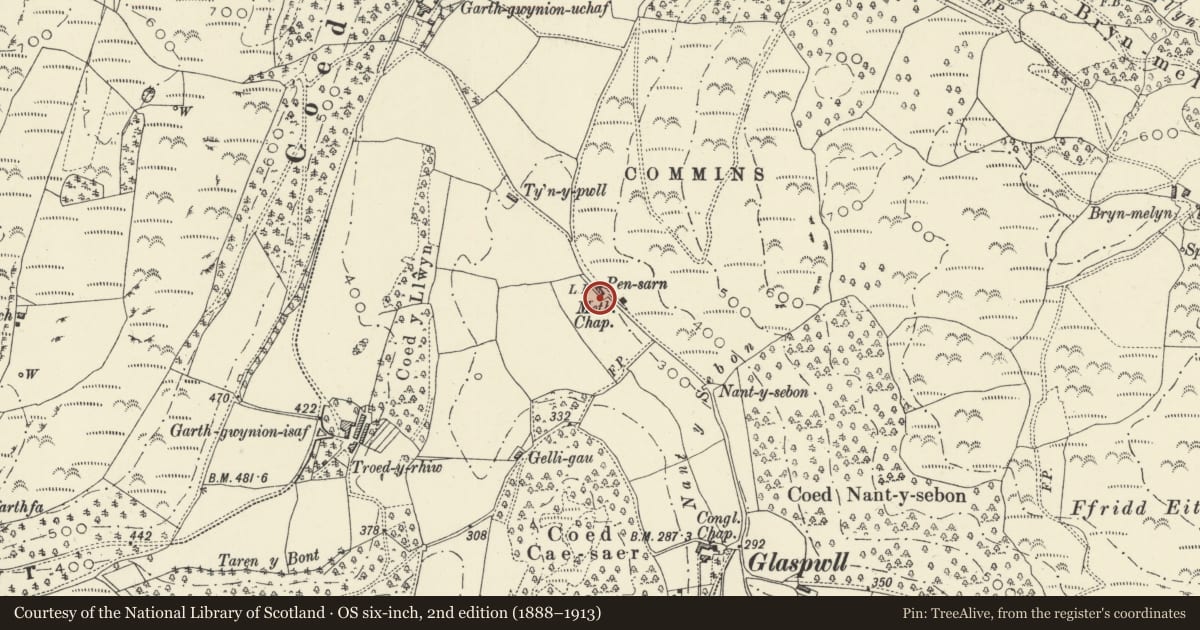 Ordnance Survey six-inch map, 2nd edition (1888–1913) covering the location of 2 Pensarn, Cadfarch, Powys, with a pin at the register's coordinates