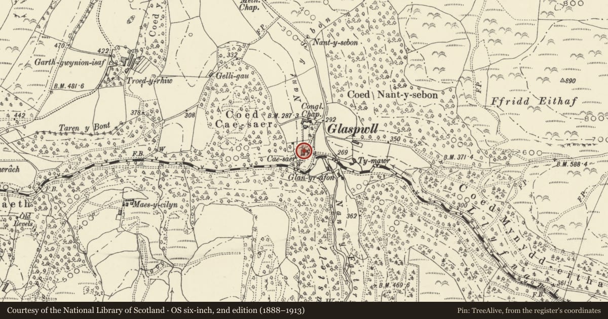 Ordnance Survey six-inch map, 2nd edition (1888–1913) covering the location of Cae Saer, Cadfarch, Powys, with a pin at the register's coordinates