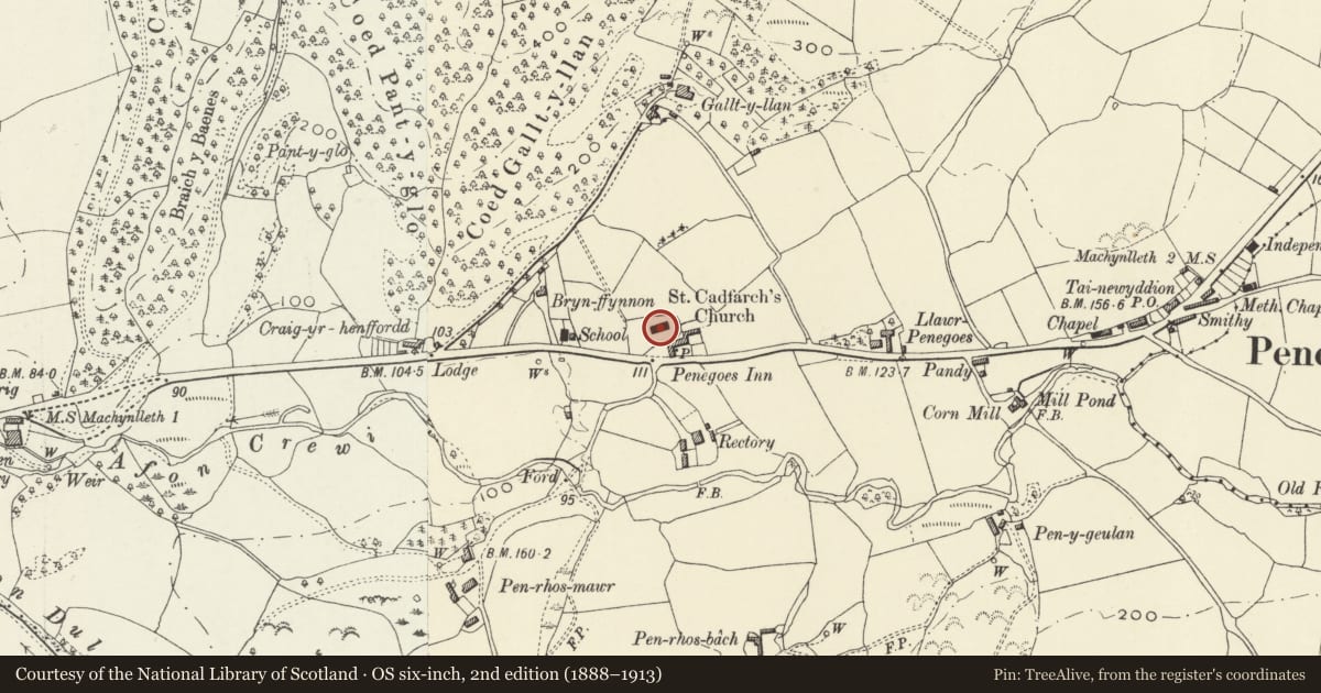 Ordnance Survey six-inch map, 2nd edition (1888–1913) covering the location of Church of St Cadfarch, Powys, with a pin at the register's coordinates