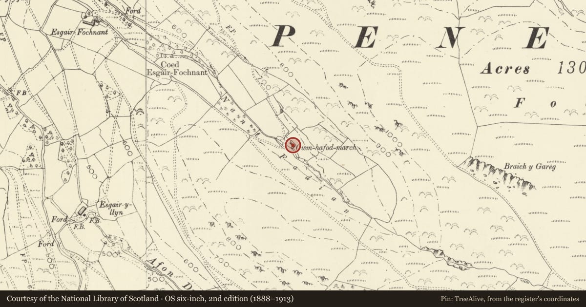 Ordnance Survey six-inch map, 2nd edition (1888–1913) covering the location of Cwm-hafod-march, Cadfarch, Powys, with a pin at the register's coordinates