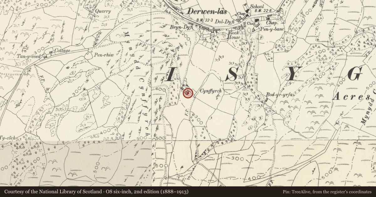 Ordnance Survey six-inch map, 2nd edition (1888–1913) covering the location of Cynffyrch, Cadfarch, Powys, with a pin at the register's coordinates