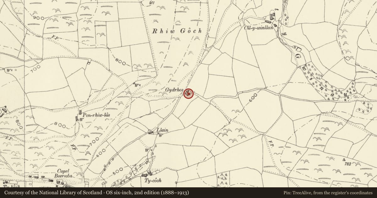 Ordnance Survey six-inch map, 2nd edition (1888–1913) covering the location of Gydrhos, Cadfarch, Powys, with a pin at the register's coordinates
