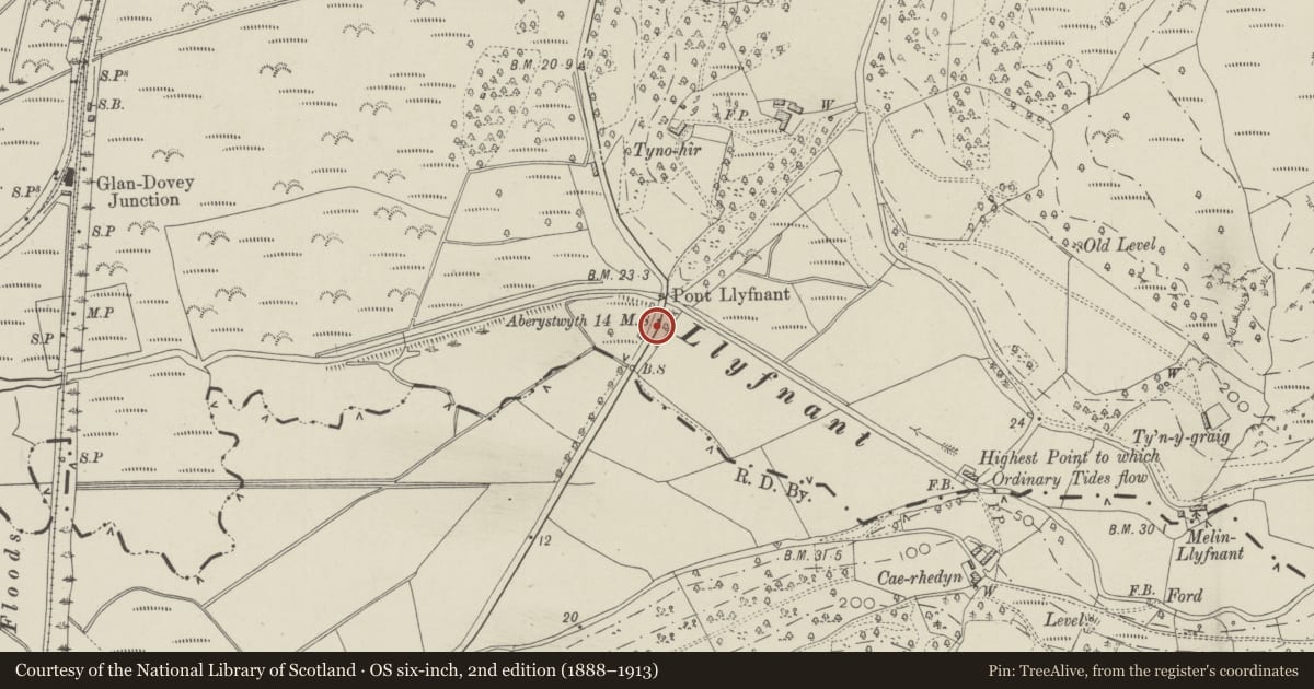 Ordnance Survey six-inch map, 2nd edition (1888–1913) covering the location of Milestone S of Pont Llyfnant, Cadfarch, Powys, with a pin at the register's coordinates