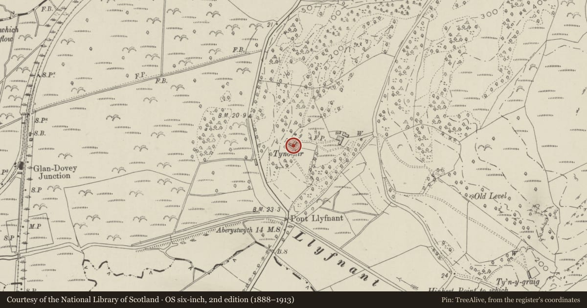 Ordnance Survey six-inch map, 2nd edition (1888–1913) covering the location of Tynohir, Cadfarch, Powys, with a pin at the register's coordinates