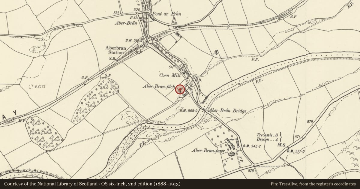 Ordnance Survey six-inch map, 2nd edition (1888–1913) covering the location of Aberbran Fach, Trallong, Powys, with a pin at the register's coordinates