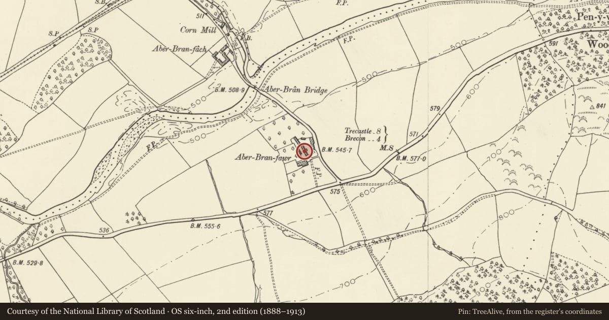 Ordnance Survey six-inch map, 2nd edition (1888–1913) covering the location of Barn range at Aberbran Fawr, Trallong, Powys, with a pin at the register's coordinates