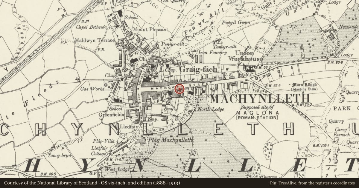 Ordnance Survey six-inch map, 2nd edition (1888–1913) covering the location of 46 Heol Maengwyn, Machynlleth, Powys, with a pin at the register's coordinates