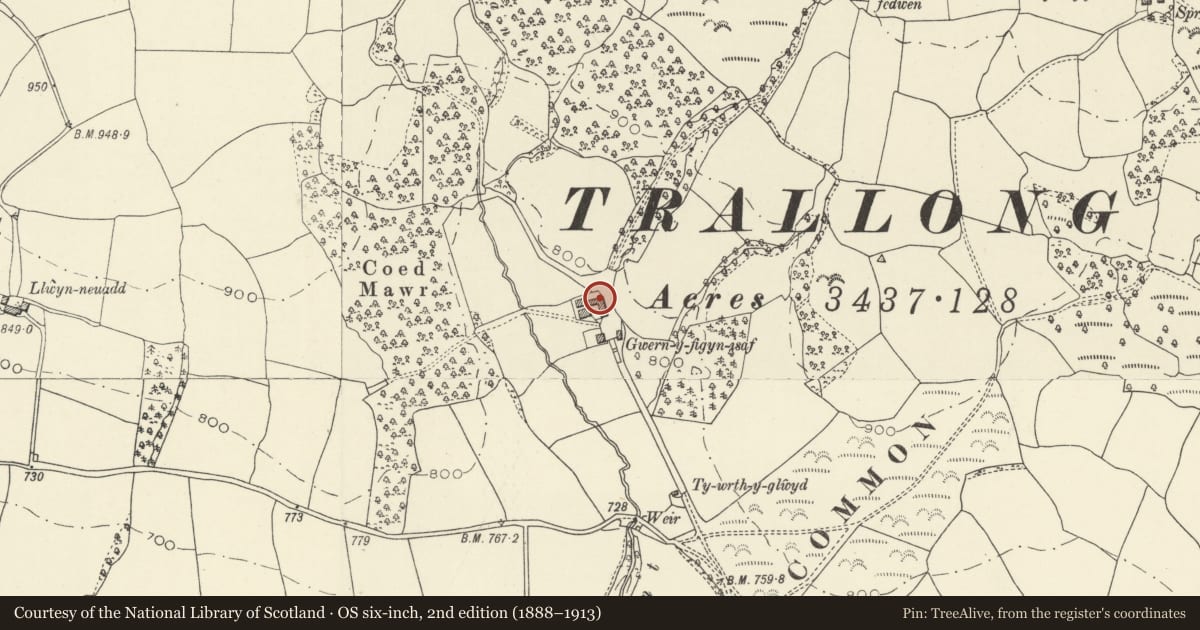 Ordnance Survey six-inch map, 2nd edition (1888–1913) covering the location of Farm buildings to N of Wernfigin Isaf, Trallong, Powys, with a pin at the register's coordinates