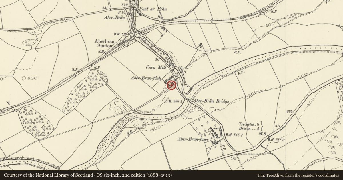 Ordnance Survey six-inch map, 2nd edition (1888–1913) covering the location of Farm courtyard at Aberbran Fach, Trallong, Powys, with a pin at the register's coordinates