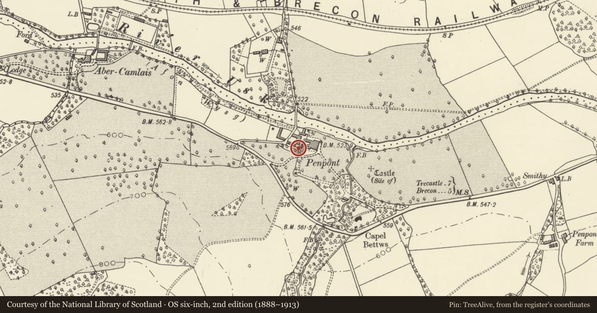 Ordnance Survey six-inch map, 2nd edition (1888–1913) covering the location of Gatepiers and flanking ranges to rear courtyard at Penpont, Trallong, Powys, with a pin at the register's coordinates