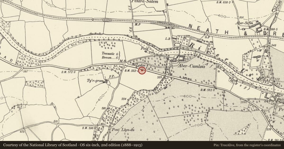 Ordnance Survey six-inch map, 2nd edition (1888–1913) covering the location of Milestone E of Abercamlais drive, Trallong, Powys, with a pin at the register's coordinates