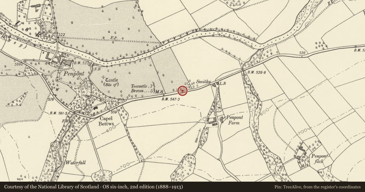 Ordnance Survey six-inch map, 2nd edition (1888–1913) covering the location of Milestone E of Penpont, Trallong, Powys, with a pin at the register's coordinates