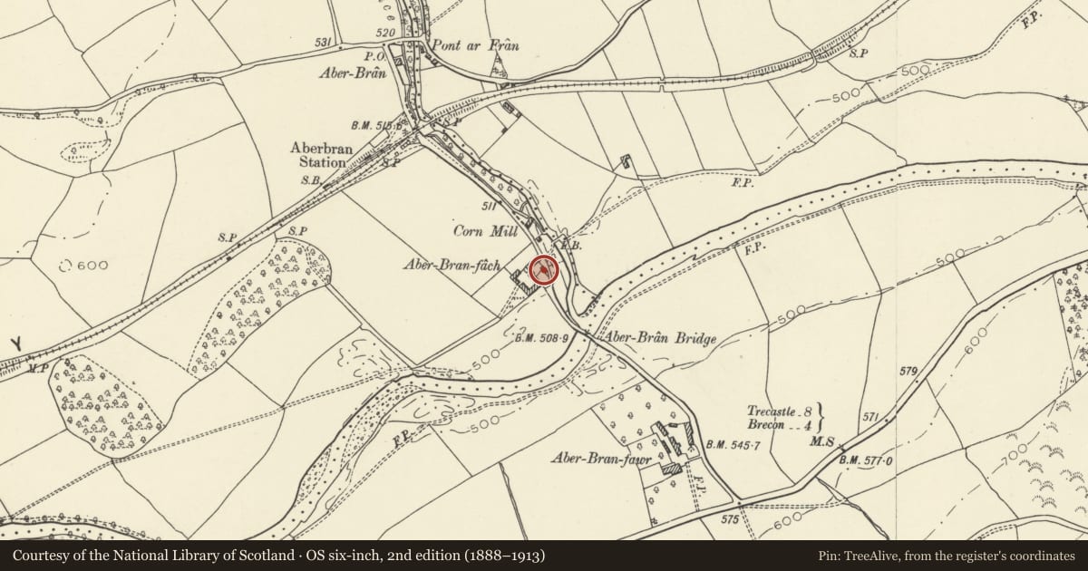 Ordnance Survey six-inch map, 2nd edition (1888–1913) covering the location of Mill Cottage, Trallong, Powys, with a pin at the register's coordinates