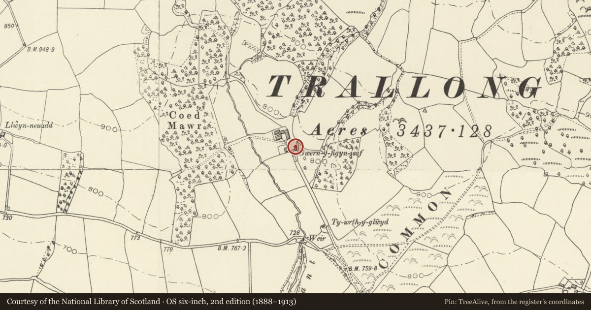 Ordnance Survey six-inch map, 2nd edition (1888–1913) covering the location of Outbuilding across road to E of Wernfigin Isaf, Trallong, Powys, with a pin at the register's coordinates