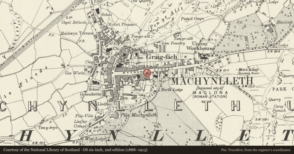 Ordnance Survey six-inch map, 2nd edition (1888–1913) covering the location of Annies, Machynlleth, Powys, with a pin at the register's coordinates