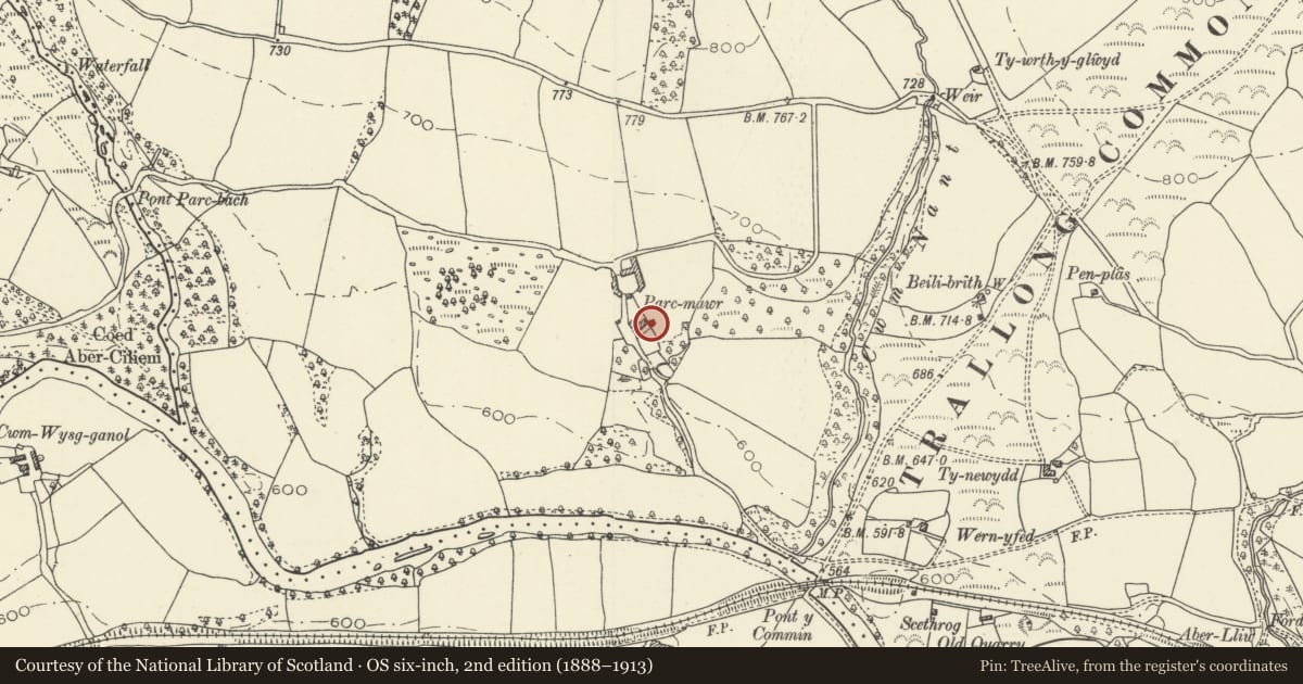 Ordnance Survey six-inch map, 2nd edition (1888–1913) covering the location of Outbuilding at right angles to The Park farmhouse, Trallong, Powys, with a pin at the register's coordinates