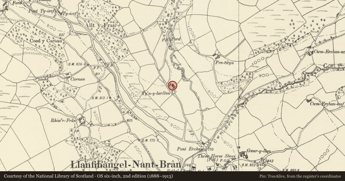 Ordnance Survey six-inch map, 2nd edition (1888–1913) covering the location of L-plan outbuilding at Ty'rberllan, Trallong, Powys, with a pin at the register's coordinates