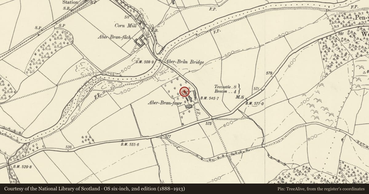 Ordnance Survey six-inch map, 2nd edition (1888–1913) covering the location of Outbuilding to N of main barn range at Aberbran Fawr, Trallong, Powys, with a pin at the register's coordinates