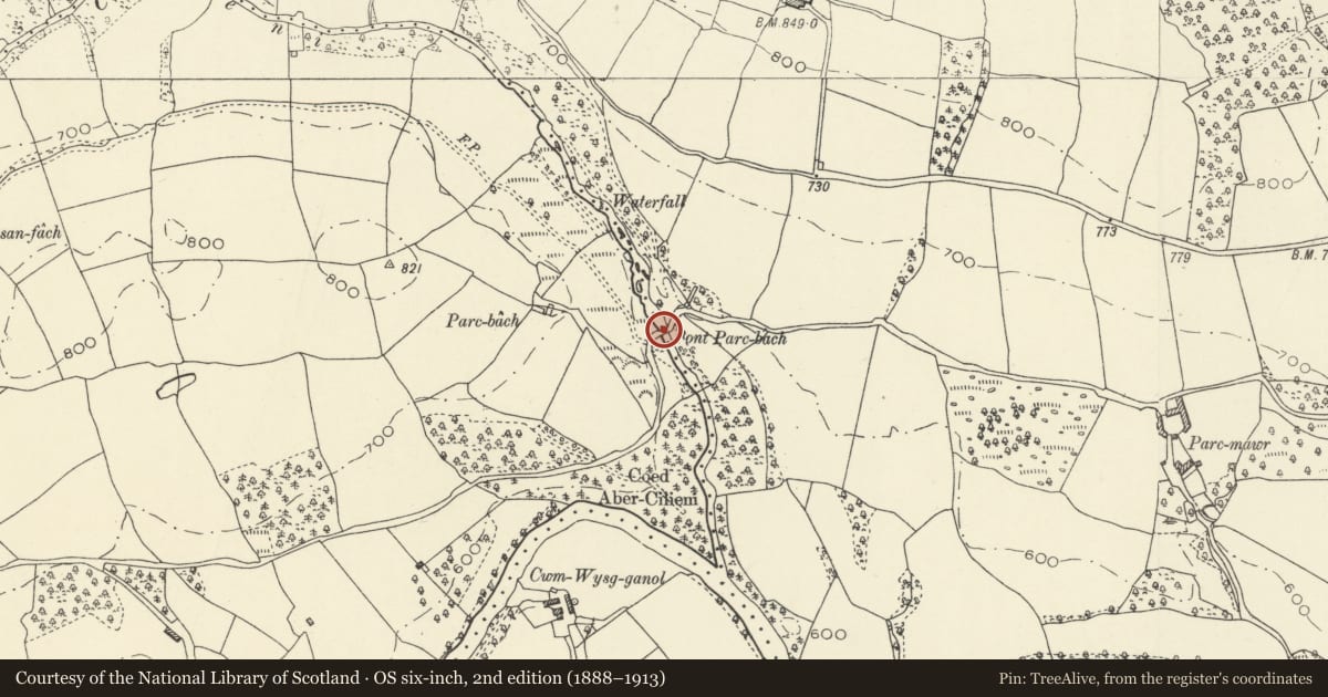 Ordnance Survey six-inch map, 2nd edition (1888–1913) covering the location of Pont Parc Bach (partly in Maescar community), Trallong, Powys, with a pin at the register's coordinates