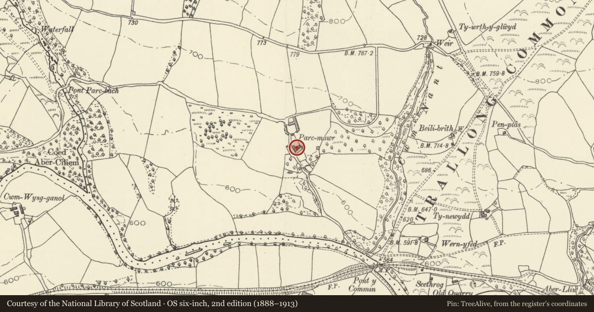 Ordnance Survey six-inch map, 2nd edition (1888–1913) covering the location of The Park, Trallong, Powys, with a pin at the register's coordinates