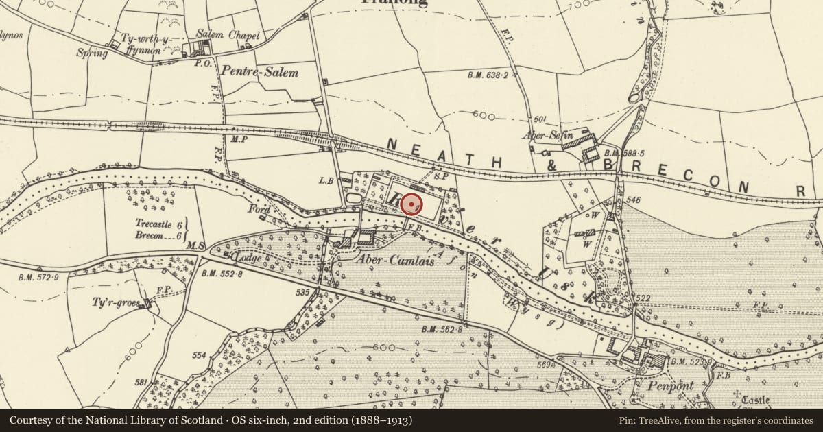 Ordnance Survey six-inch map, 2nd edition (1888–1913) covering the location of Walls of walled garden N of suspension bridge, Trallong, Powys, with a pin at the register's coordinates