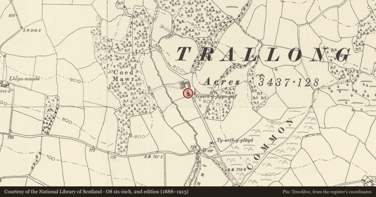 Ordnance Survey six-inch map, 2nd edition (1888–1913) covering the location of Wernfigin Isaf, Trallong, Powys, with a pin at the register's coordinates