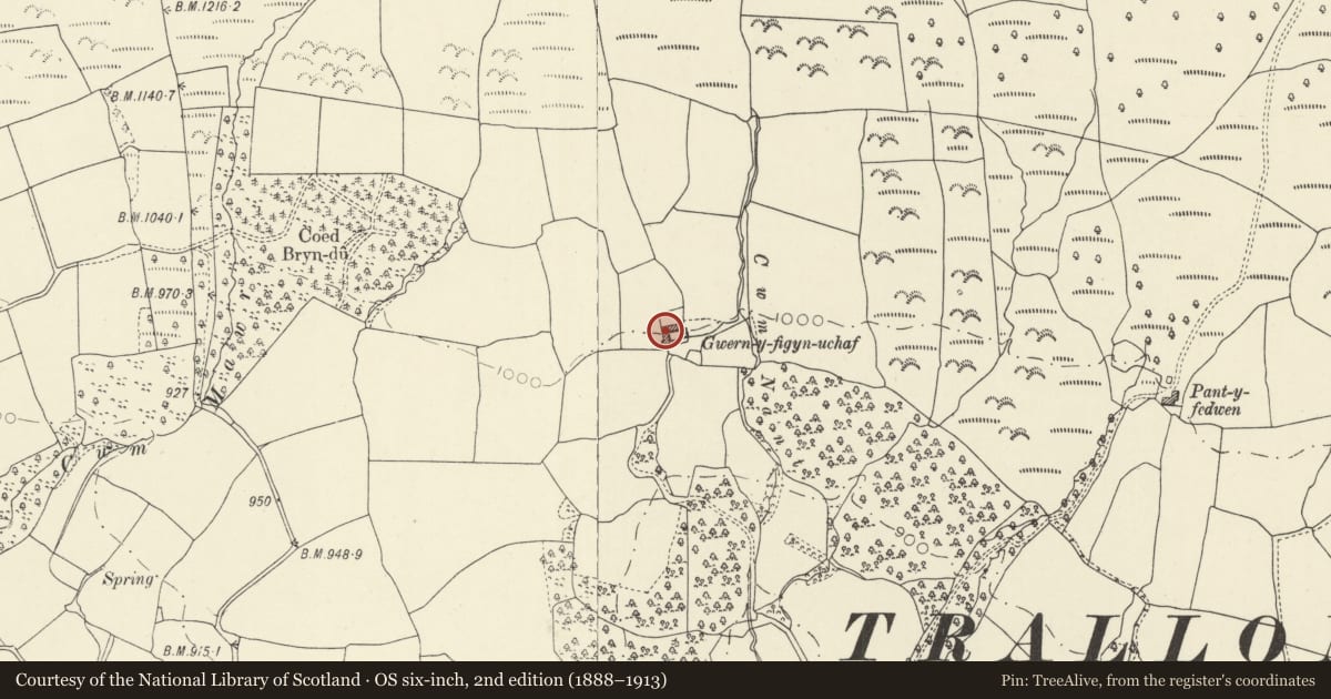 Ordnance Survey six-inch map, 2nd edition (1888–1913) covering the location of Wernfigin Uchaf and attached outbuildings, Trallong, Powys, with a pin at the register's coordinates