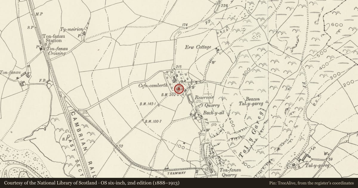 Ordnance Survey six-inch map, 2nd edition (1888–1913) covering the location of Barn, cart shed and granary at Cefn Camberth, Llangelynin, Gwynedd, with a pin at the register's coordinates