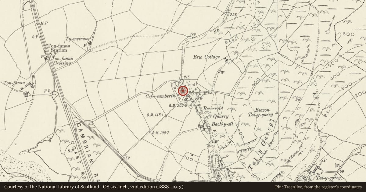 Ordnance Survey six-inch map, 2nd edition (1888–1913) covering the location of Cefn Camberth, Llangelynin, Gwynedd, with a pin at the register's coordinates
