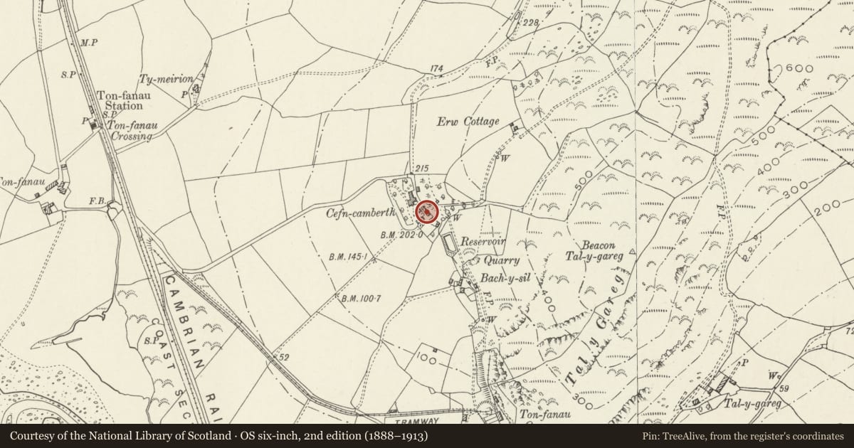 Ordnance Survey six-inch map, 2nd edition (1888–1913) covering the location of Cow house and stable at Cefn Camberth, Llangelynin, Gwynedd, with a pin at the register's coordinates